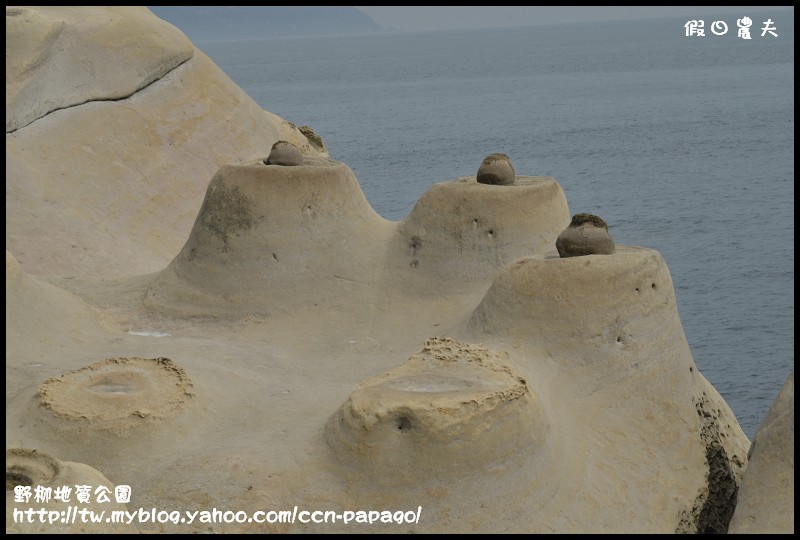 野柳地質公園_DSC3835