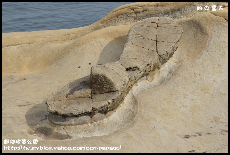 野柳地質公園_DSC3778