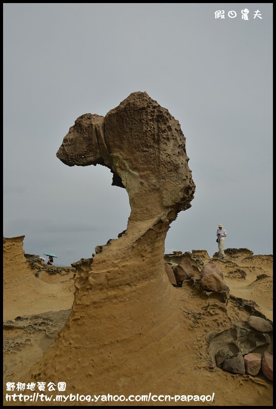 野柳地質公園_DSC3808