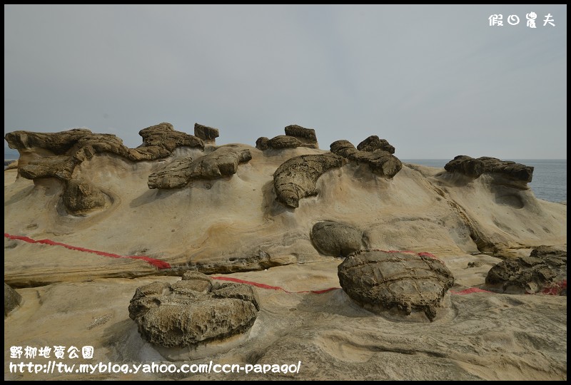 野柳地質公園_DSC3828