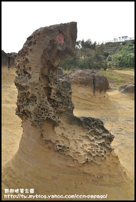 野柳地質公園_DSC3759