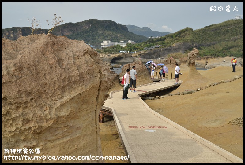 野柳地質公園_DSC3760