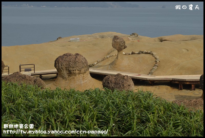 野柳地質公園_DSC3737