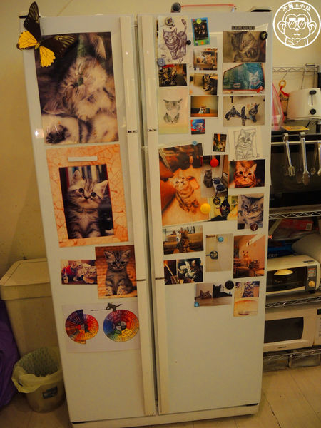 咖啡實驗室：呷飽祙【台北中正･咖啡實驗室Coffee lab】有萌貓駐店的咖啡廳