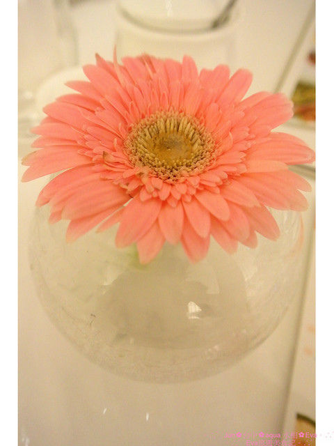 aqua水相法義料理(大遠百店)：【食記】oO。。台中　aqua水相法義料理　來這裡有美美的馬卡龍裝飾尬逼和愛麗絲夢遊仙境的下午茶陪伴大家～o○。