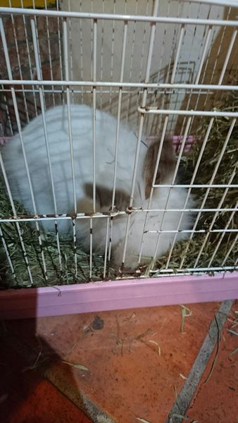 20160620遊戲餐廳_4442