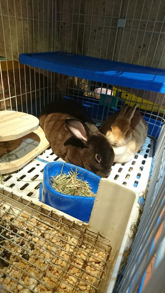 20160620遊戲餐廳_43