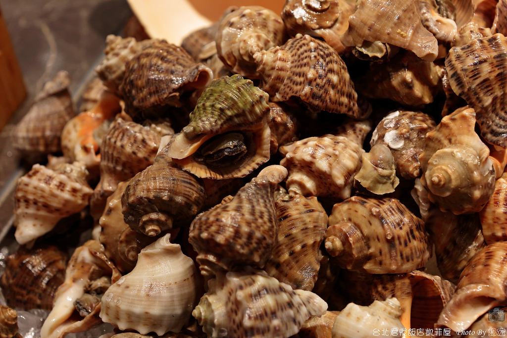 2015.11.28~台北君悅飯店凱菲屋