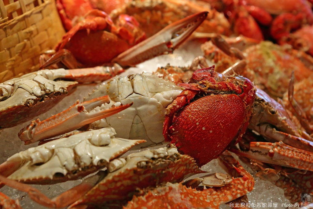 2015.11.28~台北君悅飯店凱菲屋