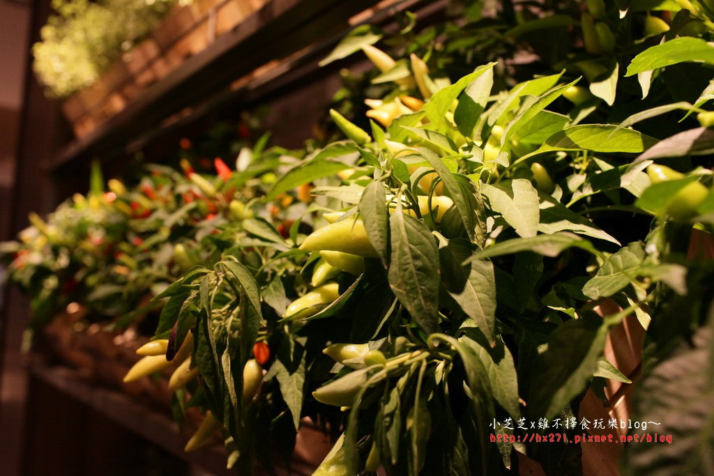 君悅飯店凱菲屋