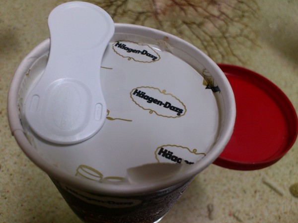 Haagen-Dazs 哈根達斯:Haagen-Dazs~~親愛融心冰淇淋!