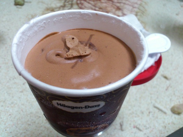 Haagen-Dazs 哈根達斯:Haagen-Dazs~~親愛融心冰淇淋!