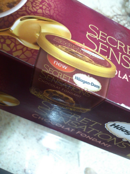 Haagen-Dazs 哈根達斯:Haagen-Dazs~~親愛融心冰淇淋!