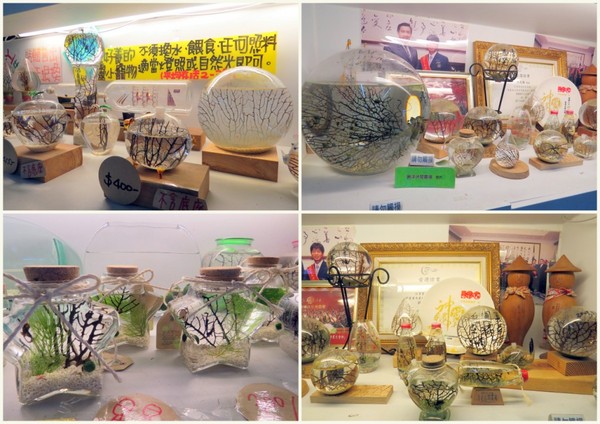 勝洋休閒農場：充滿生命能量的水草【宜蘭/勝洋休閒農場】