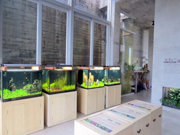 勝洋休閒農場：充滿生命能量的水草【宜蘭/勝洋休閒農場】