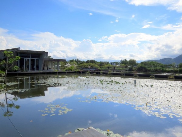 勝洋休閒農場：充滿生命能量的水草【宜蘭/勝洋休閒農場】