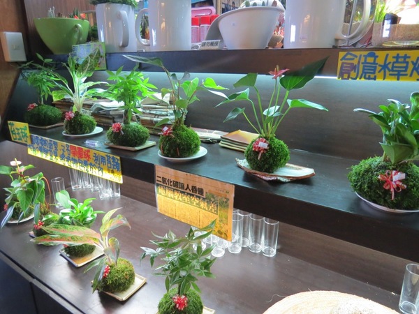 勝洋休閒農場：充滿生命能量的水草【宜蘭/勝洋休閒農場】