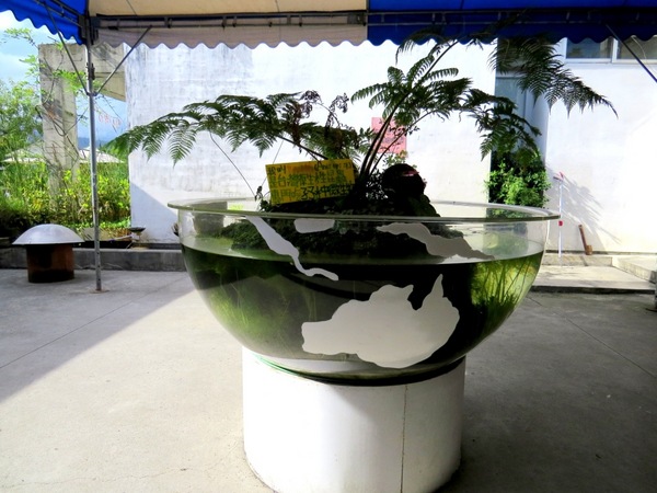 勝洋休閒農場：充滿生命能量的水草【宜蘭/勝洋休閒農場】