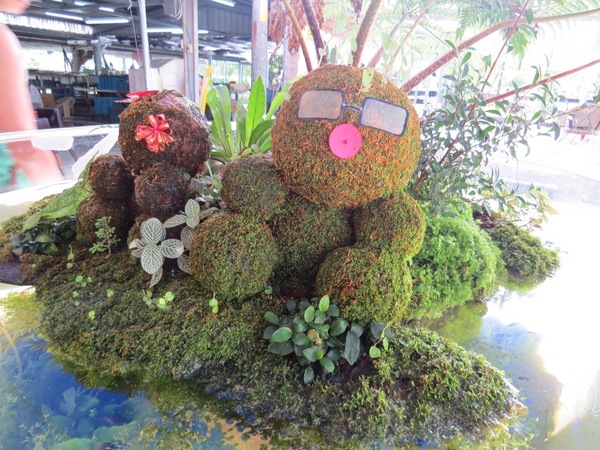 勝洋休閒農場：充滿生命能量的水草【宜蘭/勝洋休閒農場】