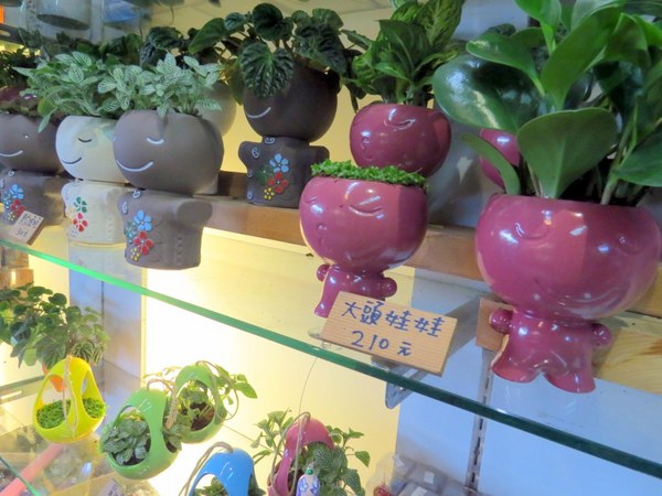 勝洋休閒農場：充滿生命能量的水草【宜蘭/勝洋休閒農場】