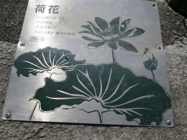 勝洋休閒農場：充滿生命能量的水草【宜蘭/勝洋休閒農場】