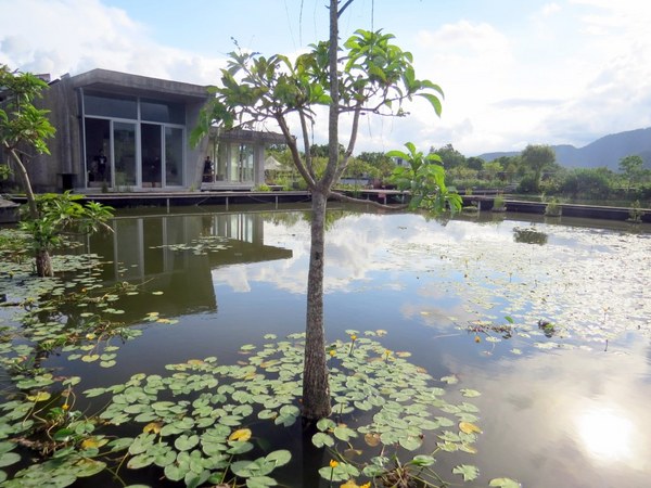 勝洋休閒農場：充滿生命能量的水草【宜蘭/勝洋休閒農場】