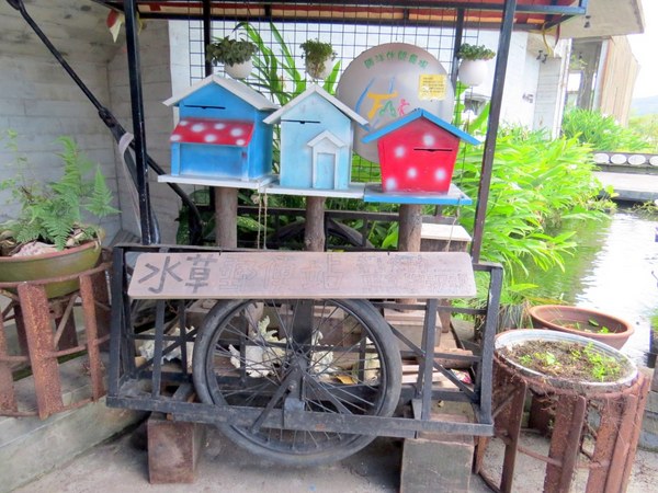 勝洋休閒農場：充滿生命能量的水草【宜蘭/勝洋休閒農場】