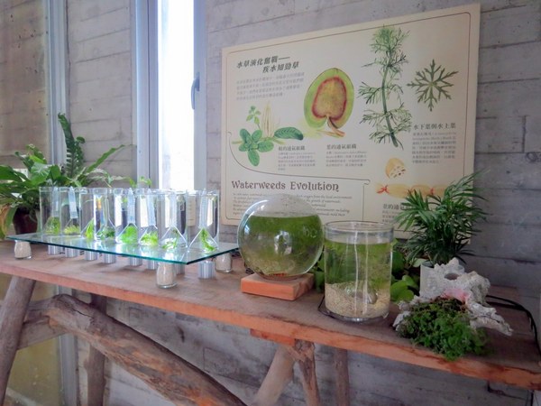 勝洋休閒農場：充滿生命能量的水草【宜蘭/勝洋休閒農場】