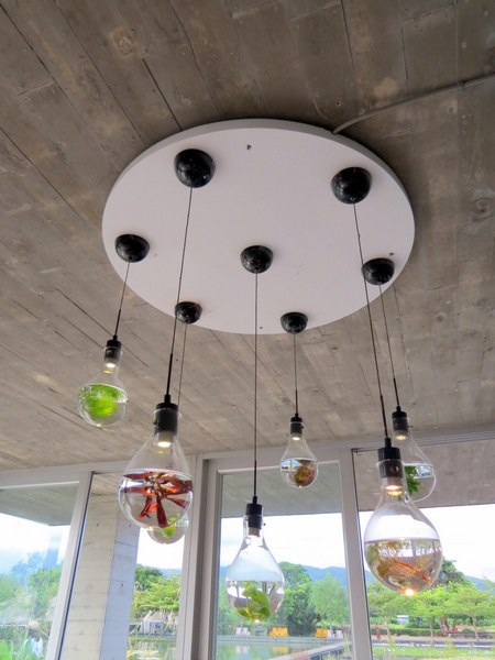 勝洋休閒農場：充滿生命能量的水草【宜蘭/勝洋休閒農場】