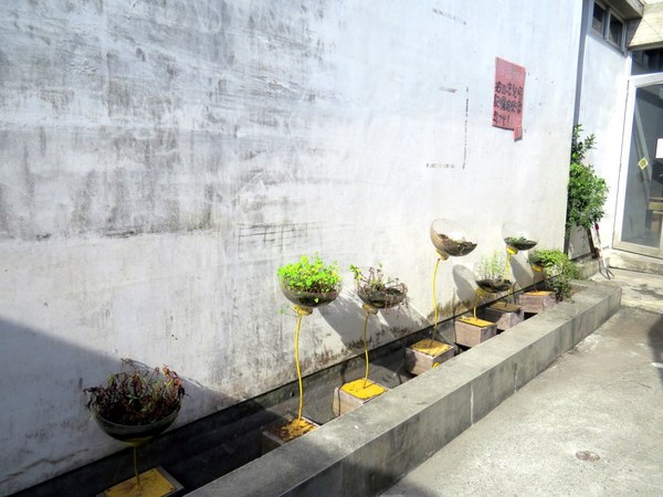 勝洋休閒農場：充滿生命能量的水草【宜蘭/勝洋休閒農場】