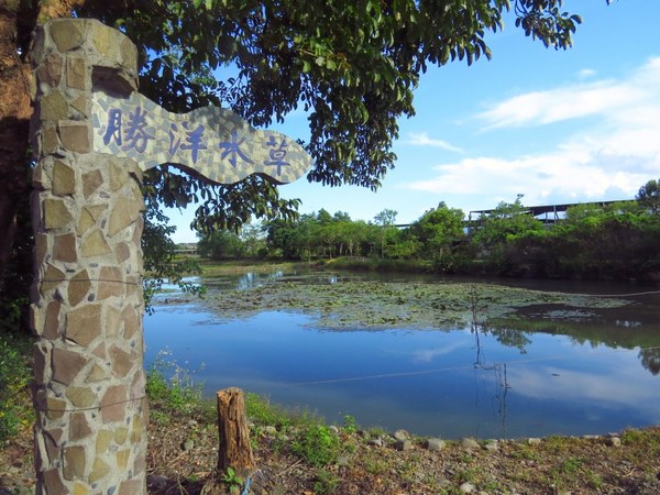 勝洋休閒農場：充滿生命能量的水草【宜蘭/勝洋休閒農場】