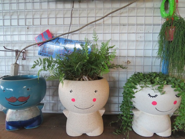 勝洋休閒農場：充滿生命能量的水草【宜蘭/勝洋休閒農場】