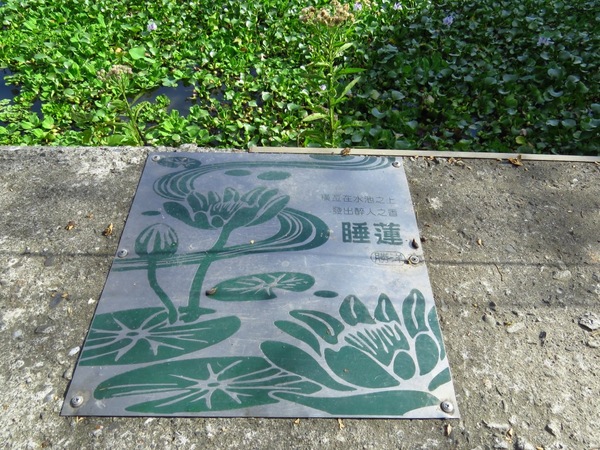 勝洋休閒農場：充滿生命能量的水草【宜蘭/勝洋休閒農場】