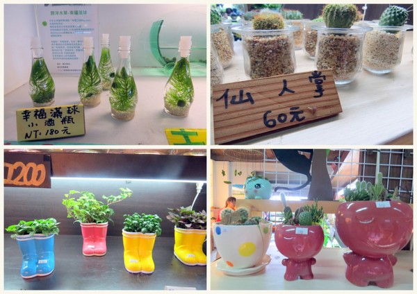 勝洋休閒農場：充滿生命能量的水草【宜蘭/勝洋休閒農場】