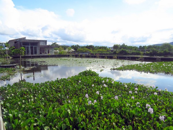 勝洋休閒農場：充滿生命能量的水草【宜蘭/勝洋休閒農場】
