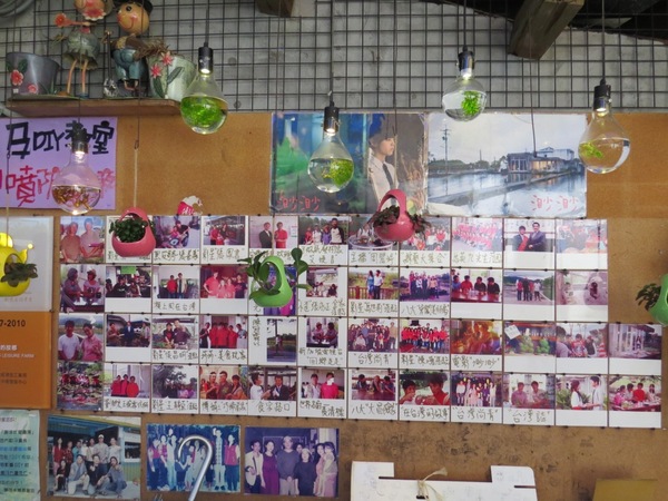 勝洋休閒農場：充滿生命能量的水草【宜蘭/勝洋休閒農場】