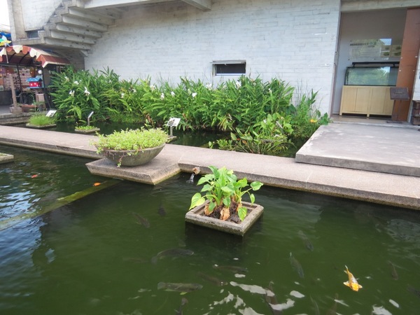 勝洋休閒農場：充滿生命能量的水草【宜蘭/勝洋休閒農場】