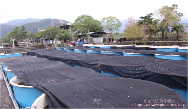 宜蘭勝洋休閒農場 29.JPG