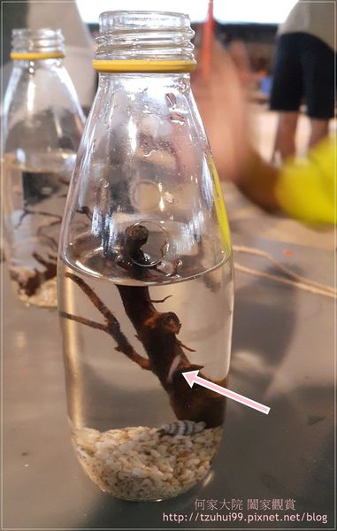 宜蘭勝洋休閒農場 09.jpg