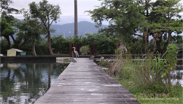 宜蘭勝洋休閒農場 31.JPG