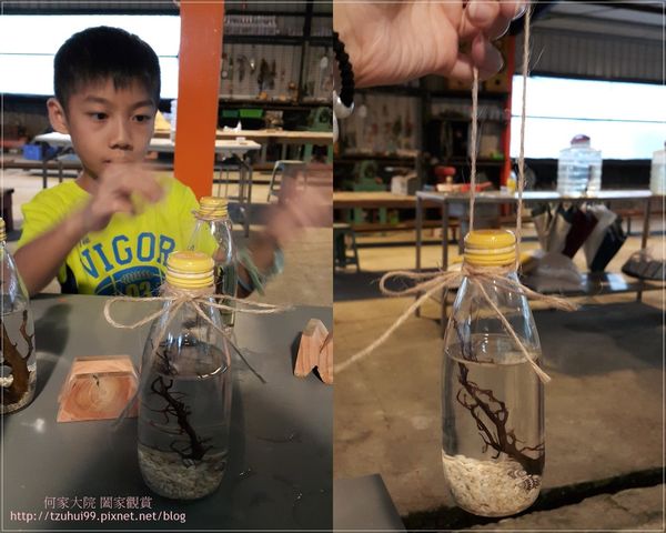 宜蘭勝洋休閒農場 10.jpg