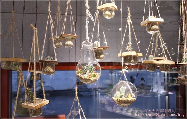 宜蘭勝洋休閒農場 16-1.JPG