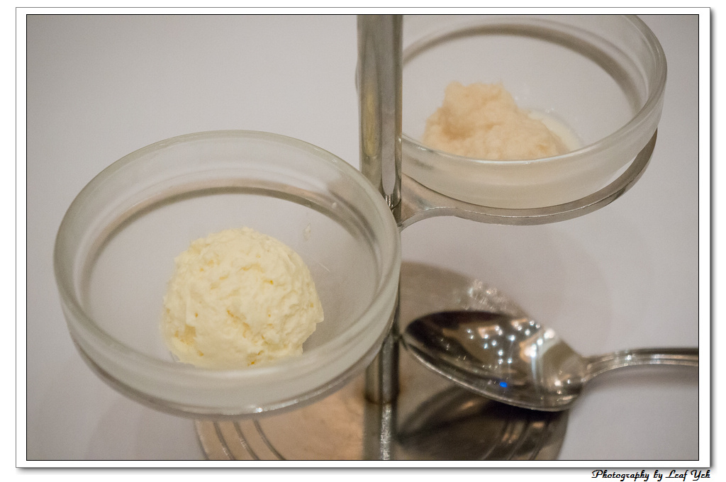 葉影瓶像版權所有