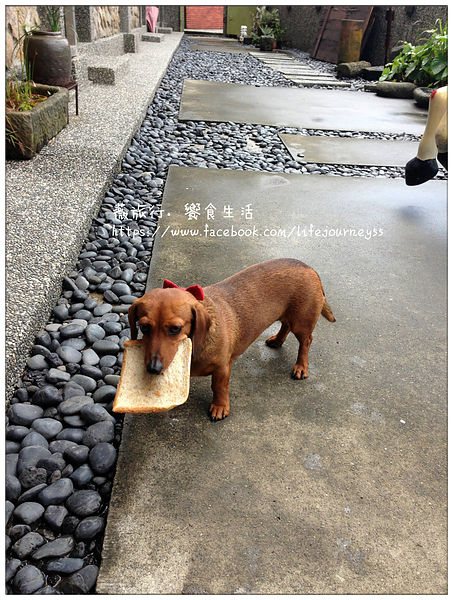 Sunny Room陽光味宿-14.jpg