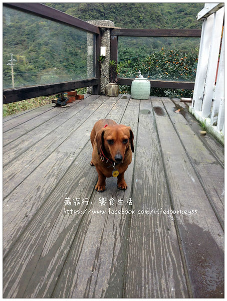 Sunny Room陽光味宿-13.jpg