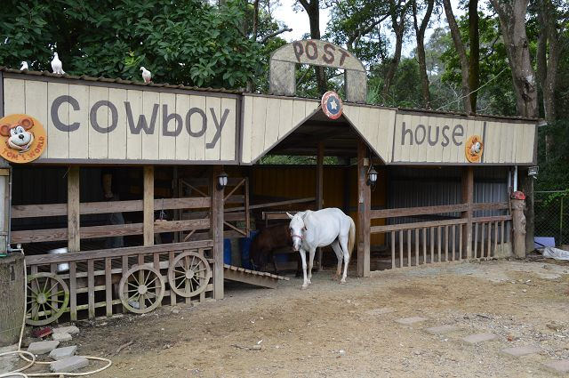 富田花園農場05