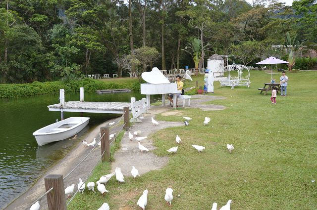 富田花園農場57