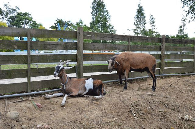 富田花園農場08