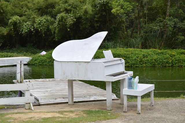 富田花園農場39