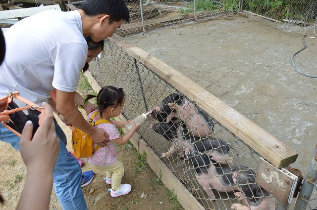 富田花園農場13